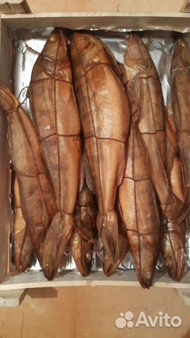 Рыба горячего и холодного копчения