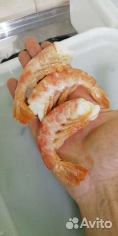 Лангустины