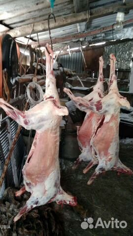 Мясо баранина, говядина на парное мясо Халяль