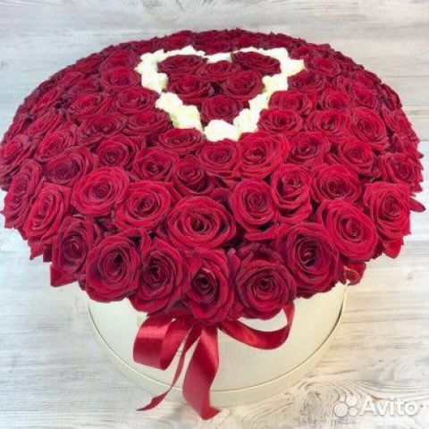 Розы Букет красных роз 101 роза