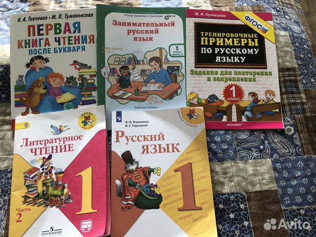 Книги учебники словари томики стихов заполняли собой весь стеллаж