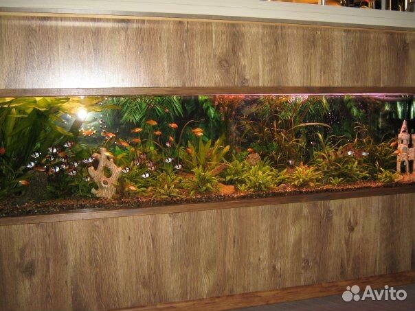 Обслуживание аквариумов