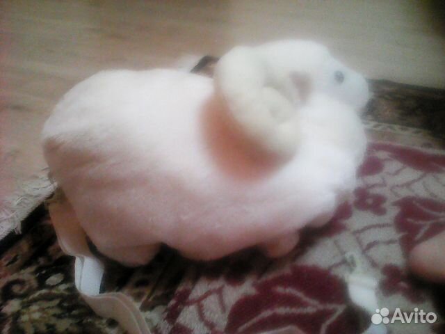 Оригинальная овечка Оригинальная овечка