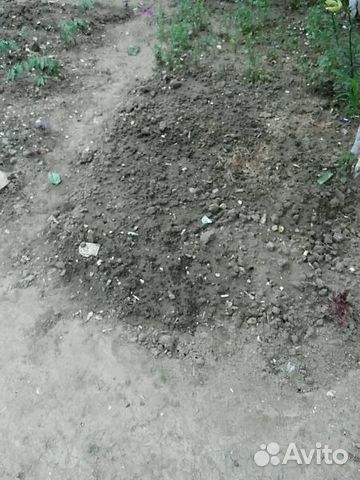 Участок 9 сот. (ИЖС)