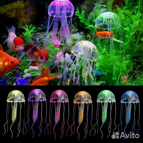 Медузы для аквариума купить на Зозу.ру - фотография № 1