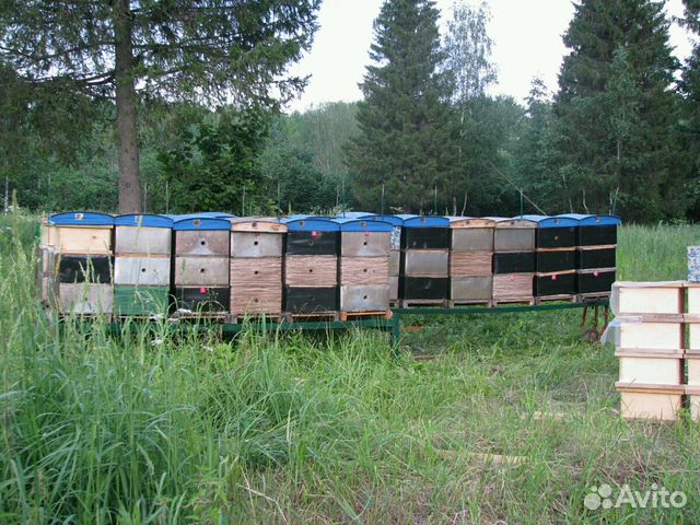 Пчеловодческие ульи многокорпусные