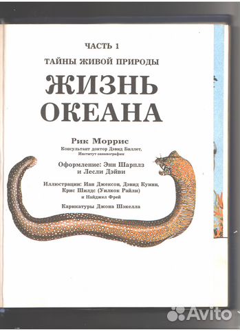 Тайны живой природы. Тайны живой природы Рик Моррис. Тайны живой природы книга Рик Моррис. Тайны живой природы книга Росмэн. Энциклопедия тайны живой природы.