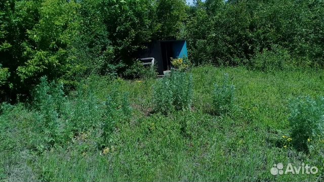 Участок 6 сот. (ИЖС) Участок 6 сот. (ИЖС)