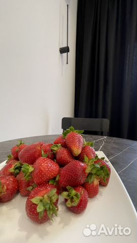 

1-к. квартира, 25 м², 2 кровати