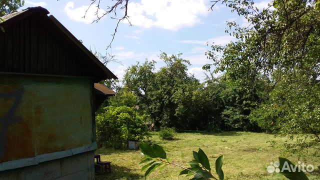 Купить Дачу Орле На Авито Фото