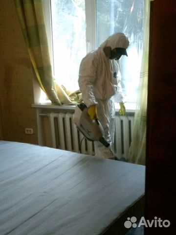 Уничтожение Дезинфекция клопов тараканов блох крыс