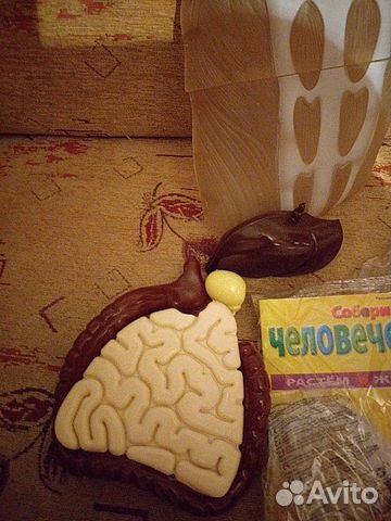 Модель человека Модель человека