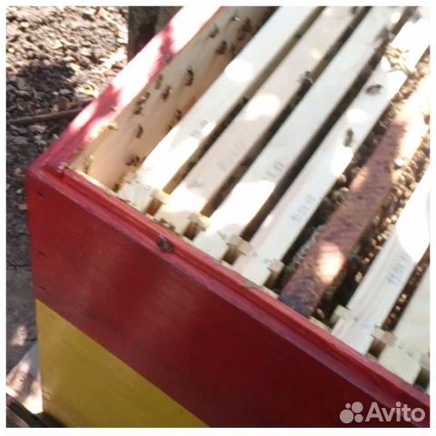 Ящики для пчел купить на Зозу.ру - фотография № 8