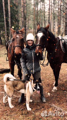 Конные прогулки