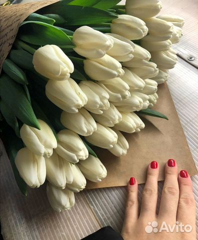 Тюльпаны oптом нa 8 мapтa