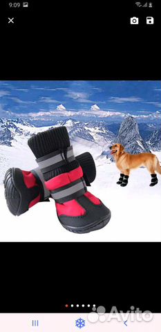 Обувь для собак купить на Зозу.ру - фотография № 2
