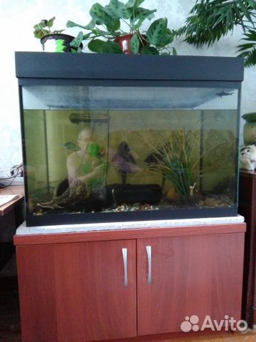 Продаю аквариум 200 литров купить на Зозу.ру - фотография № 1