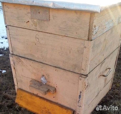 Продам четыре пчелосемьи с ульями купить на Зозу.ру - фотография № 2