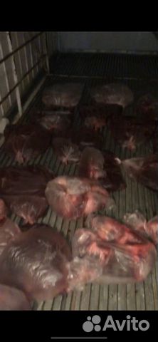 Субпродукты охл. Халяль Субпродукты охл. Халяль