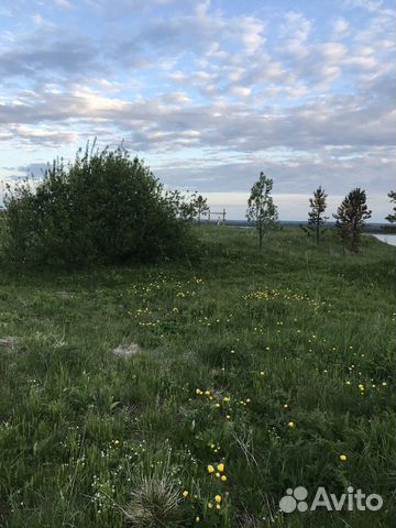 Участок новодвинск. Псарево Архангельск.