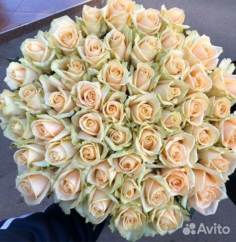 Букеты 51 101 Роза Премиум Пионы Доставка