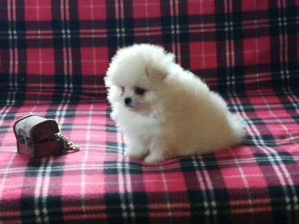 Домовенок Кузя