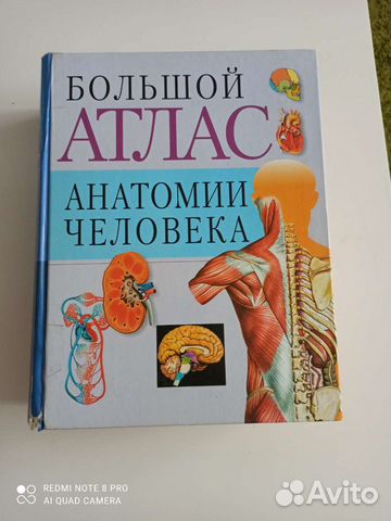 Большой атлас анатомии человека