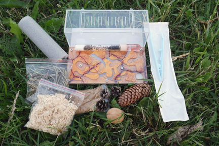 Муравьиная Ферма 