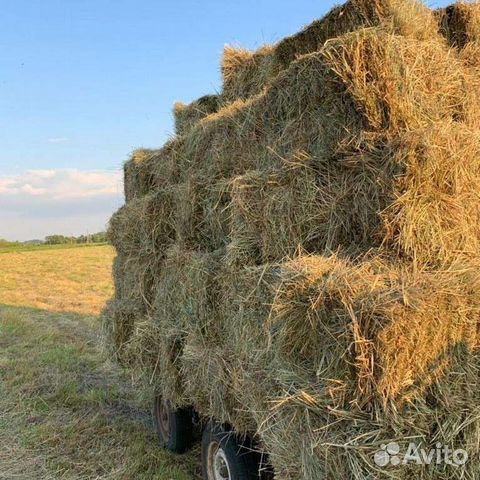 Сено, солома в тюках