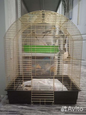 Большие и маленькие клетки для попугаев. Доставка