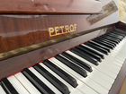 Пианино petrof объявление продам