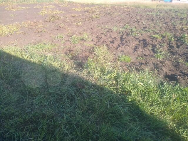 Участок 10 сот. (СНТ, ДНП)