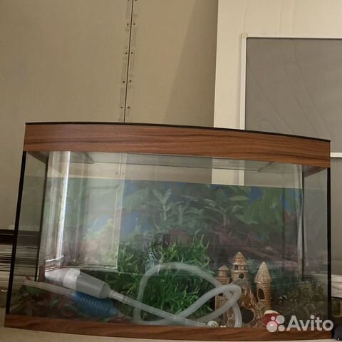 Аквариум 100л