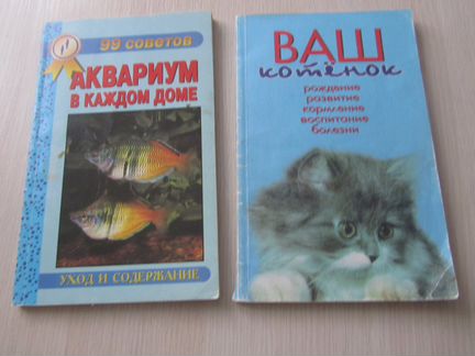 Аквариум, про кошек