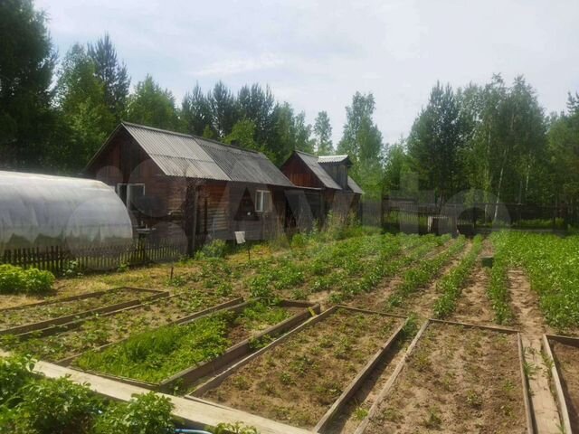 Дом 29,5 м² на участке 20 сот.