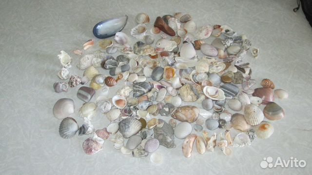 Морские ракушки, камни для коллекции, поделок