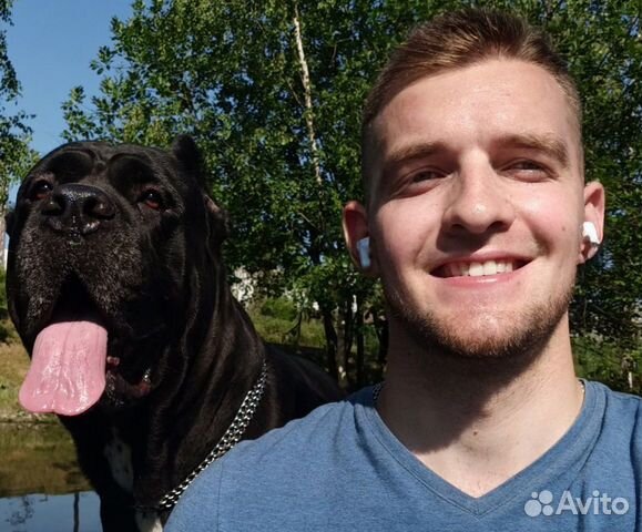 Выгульщик и ситтер для собак и других животных