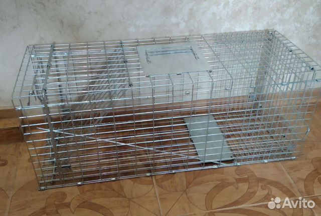 Кошколовка, ловушка для кошек