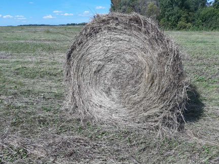 Сено в рулонах