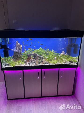 Аквариум под ключ 544л