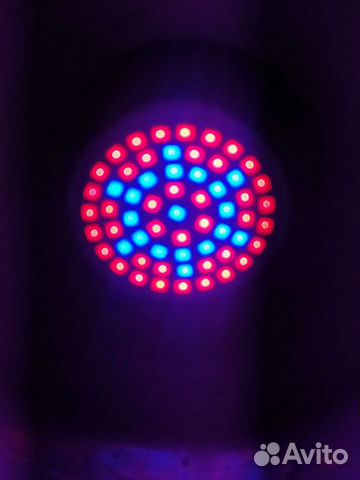 Фитолампа для растений