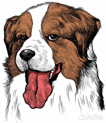 Шаблоны/макеты для печати на футболках и кружках