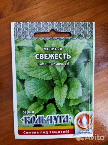 Семена мелиссы