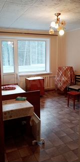 1-к. квартира, 32,3 м², 2/3 эт.