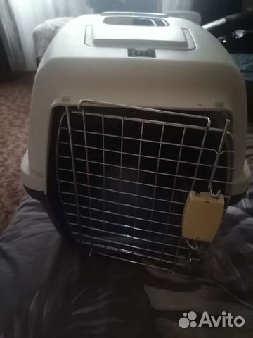 Переноска для животных большая на прокат