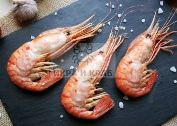 Креветка гребенчатая 