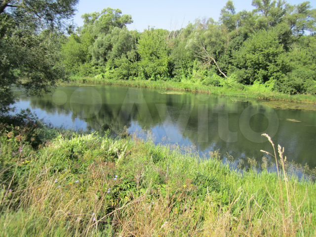 поселок, яблоневый, каменского района тульской области. погода яблонево тульская область каменский. деревня яблонево тульская область.