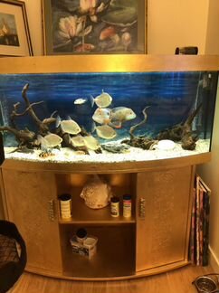 Аквариум панорамный juwel 460