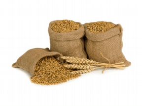 Пшеница, ячмень, овес, горох, кукуруза, комбикорма
