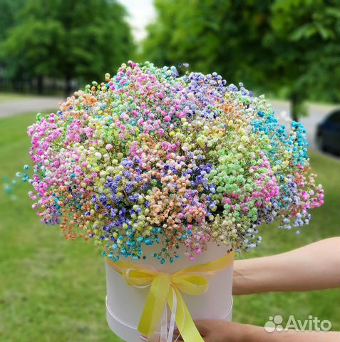 Композиции из Гипсофилы в Коробках. Цветы купить в Краснодаре | Товары ...